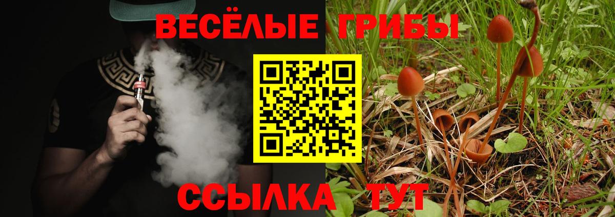 Галлюциногенные грибы мицелий Минеральные Воды