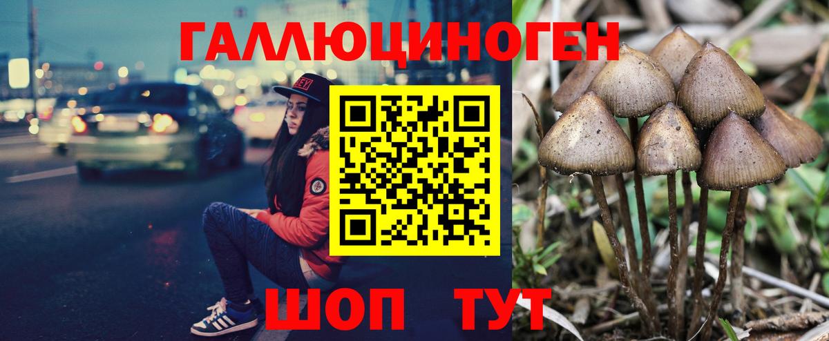 Галлюциногенные грибы Cubensis  купить   Минеральные Воды  Галлюциногенные грибы мицелий  Вход с VPN 